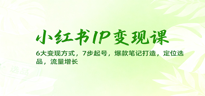 小红书IP变现课:6大变现方式,7步起号,爆款笔记打造,定位选品,流量增长-鼎誉项目网