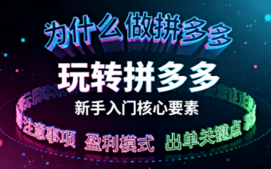 新手小白如何做拼多多-鼎誉项目网