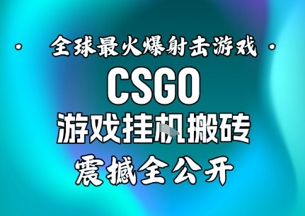 【年底大揭秘】基于全球最火爆的射击CSGO游戏挂G搬砖，日入5张+，震撼公开-鼎誉项目网