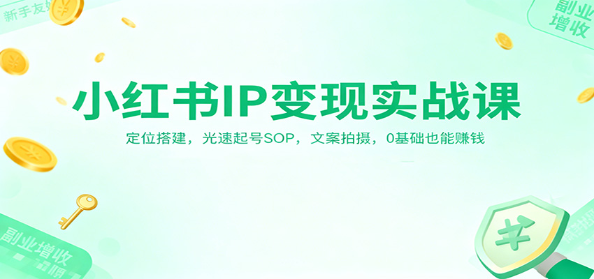 小红书IP变现实战课:定位搭建,光速起号SOP,文案拍摄,0基础也能赚钱-鼎誉项目网