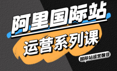醒目老师·阿里国际站运营系列课(更新11月)-鼎誉项目网