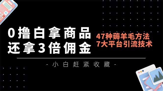 0撸白拿商品，还拿3倍佣金，47种薅羊毛方法，7大平台全方位引流技术教学，精专月入过万-鼎誉项目网