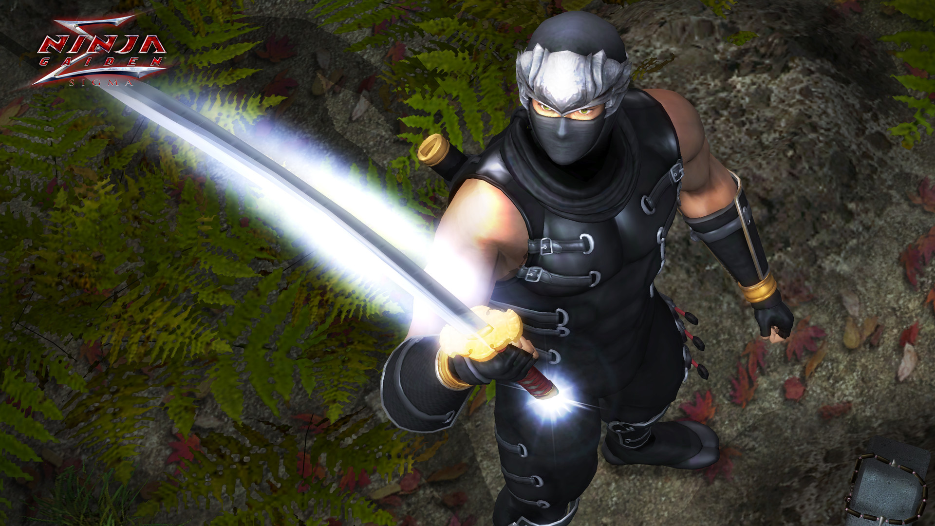 《忍者龙剑传:大师合集/NINJA GAIDEN: Master Collection》PC中文版下载-含v1.0.0.3-鼎誉项目网