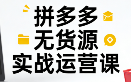 子枫老师·拼多多无货源实战运营课(更新12月)-鼎誉项目网