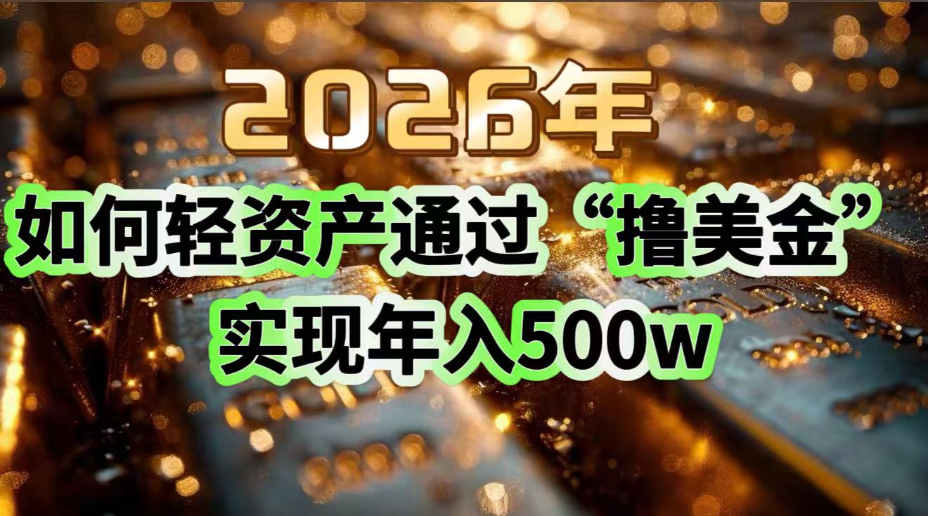 2026年如何轻资产通过“撸美金”实现年入500w-鼎誉项目网