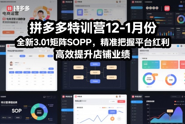 拼多多特训营12-1月份，全新3.01矩阵Sop，精准把握平台红利，高效提升店铺业绩-鼎誉项目网