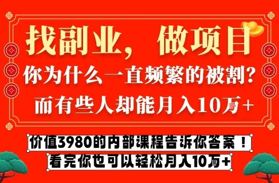 价值3980的网创内部课程，告诉你互联网创业月入10个W的秘密【揭秘】-鼎誉项目网