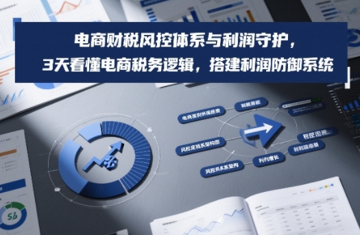 电商财税风控体系与利润守护，3天看懂电商税务逻辑，搭建利润防御系统-鼎誉项目网