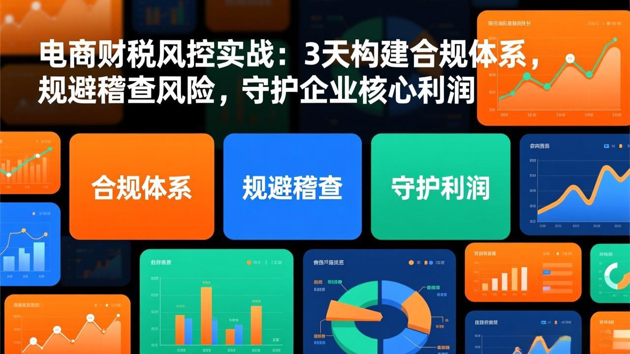 电商财税风控实战：3天构建合规体系，规避稽查风险，守护企业核心利润-鼎誉项目网