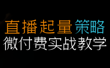半野老师·直播带货起量与微付费必学课视频号(更新2026)-鼎誉项目网