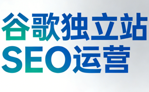 谷歌独立站SEO运营(更新2026)-鼎誉项目网