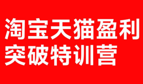 玺承·淘宝天猫盈利突破特训营(25年12月线下课)【音频+字幕】-鼎誉项目网