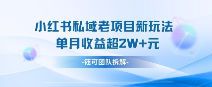 小红书私域项目新玩法,单月变现过W+-鼎誉项目网