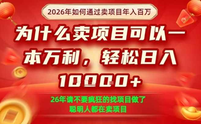 一单净利润1K+，26年想年入100个W，死磕卖项目就够了【揭秘】-鼎誉项目网