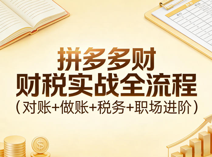 拼多多财税实战全流程(对账+做账+税务+职场进阶)-鼎誉项目网