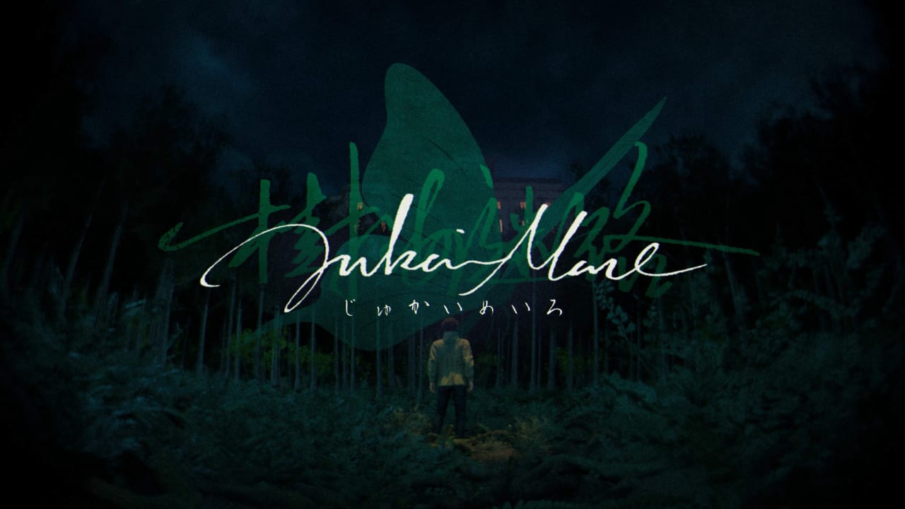 树海迷宫丨Jukai Maze-鼎誉项目网