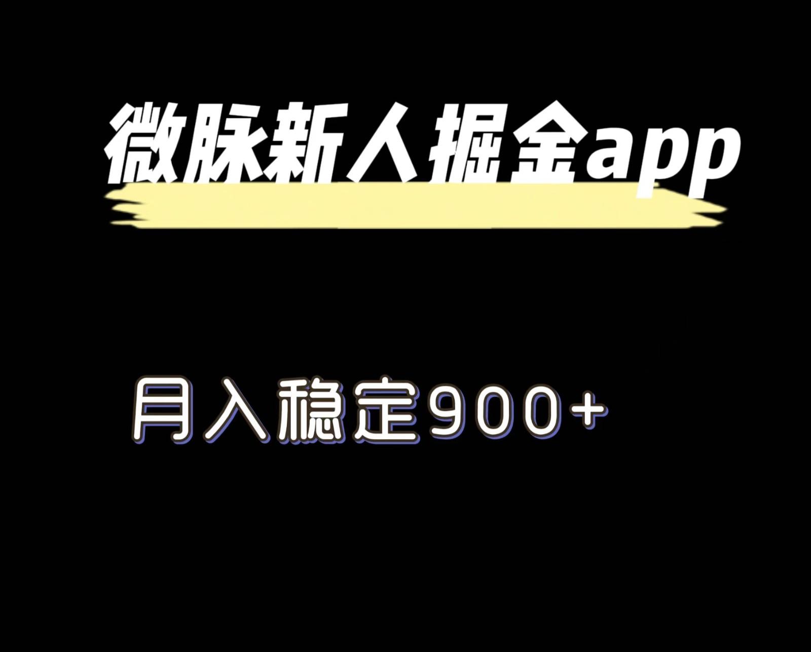 最新微脉长久项目，拉新掘金，月入稳定900+-鼎誉项目网