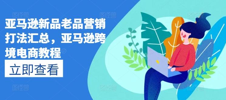 亚马逊新品老品营销打法汇总，亚马逊跨境电商教程-鼎誉项目网