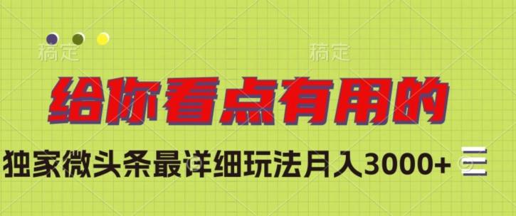 独家微头条最详细玩法，月入3000+【揭秘】-鼎誉项目网
