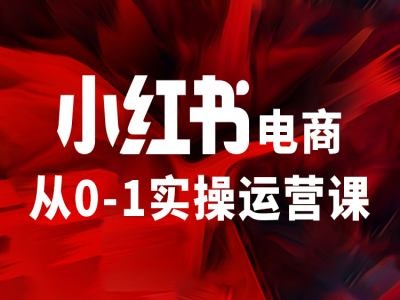 小红书电商从0-1实操运营课，让你从小白到精英-鼎誉项目网