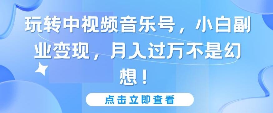 玩转中视频音乐号，小白副业变现，月入过万不是幻想【揭秘】-鼎誉项目网