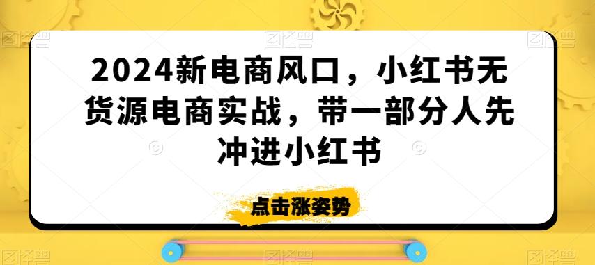 2024新电商风口，小红书无货源电商实战，带一部分人先冲进小红书-鼎誉项目网