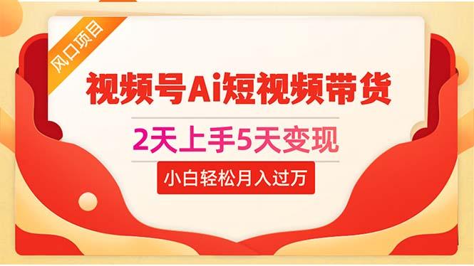 2天上手5天变现视频号Ai短视频带货0粉丝0基础小白轻松月入过万-鼎誉项目网