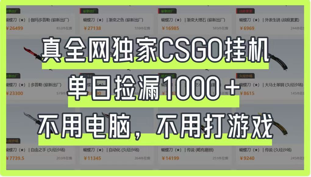 真全网独家CSGO挂机，单日捡漏1000+，不用电脑，不用养号-鼎誉项目网