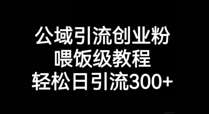 公域引流创业粉，喂饭级教程，轻松日引流300+【揭秘】-鼎誉项目网