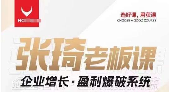 【组合课】张琦张琦老板企业增长·盈利爆破系统（直播专享）-鼎誉项目网