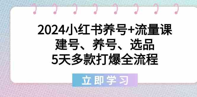 2024小红书养号+流量课:建号、养号、选品,5天多款打爆全流程-鼎誉项目网