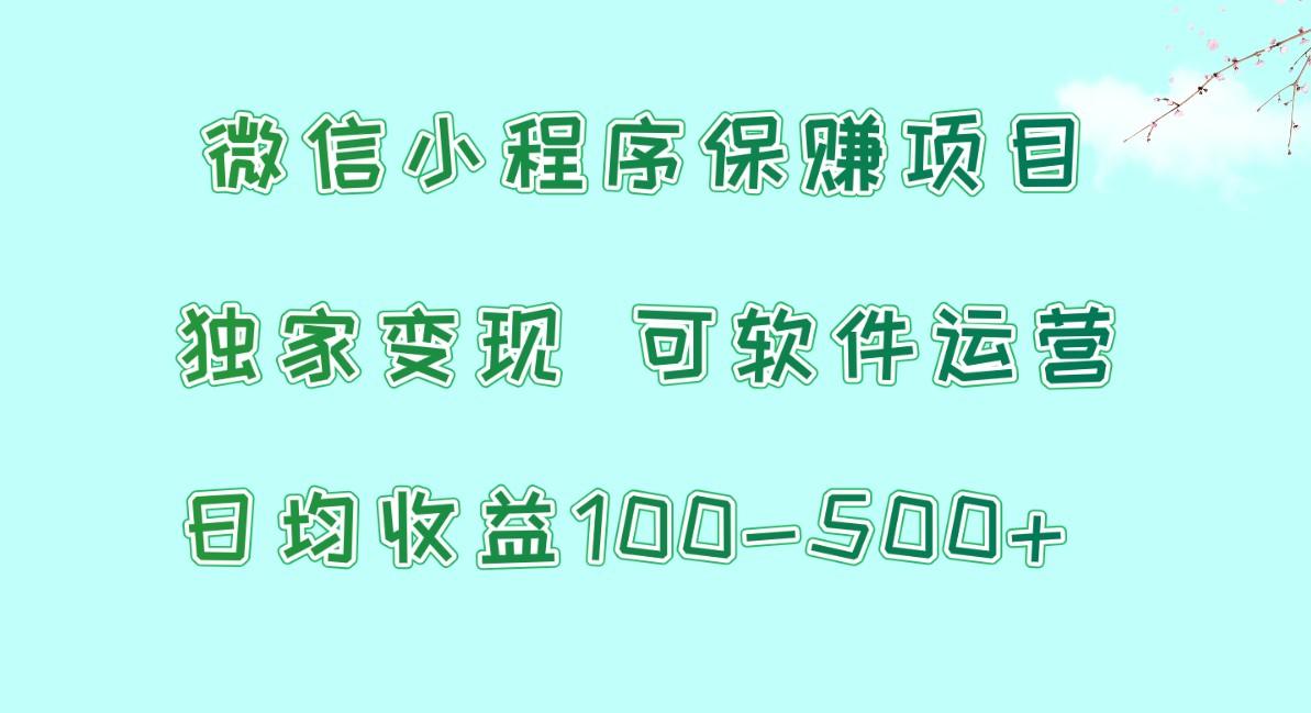 微信小程序保赚项目，日均收益100~500+，独家变现，可软件运营-鼎誉项目网