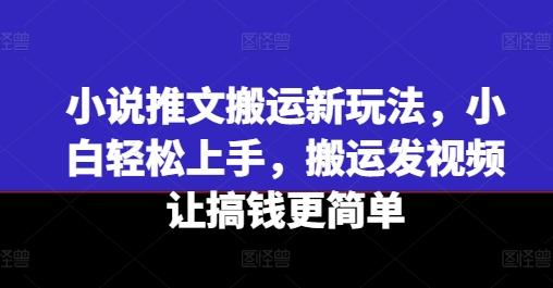 小说推文搬运新玩法，小白轻松上手，搬运发视频让搞钱更简单-鼎誉项目网