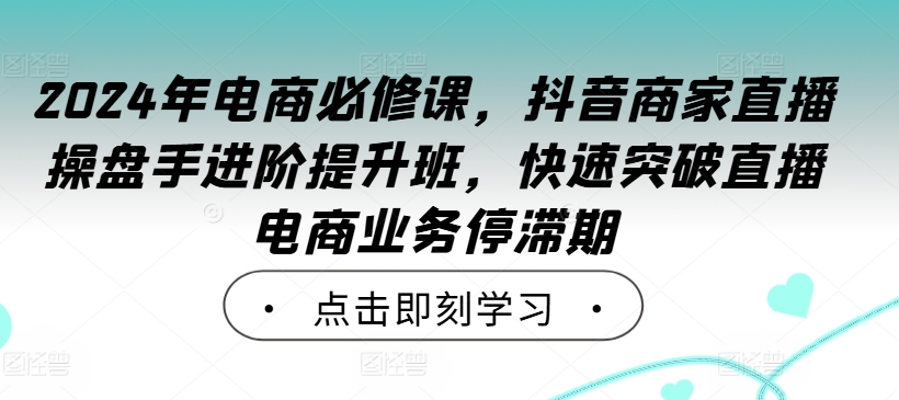 2024年电商必修课，抖音商家直播操盘手进阶提升班，快速突破直播电商业务停滞期-鼎誉项目网