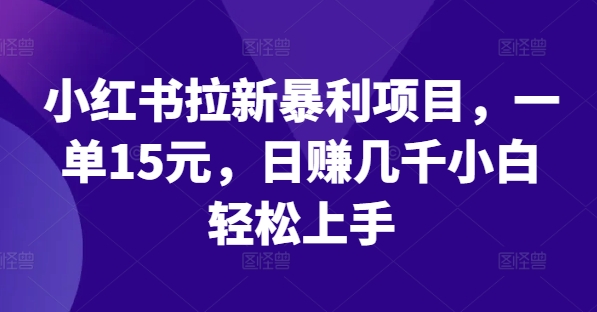 小红书拉新暴利项目，一单15元，日赚几千小白轻松上手【揭秘】-鼎誉项目网