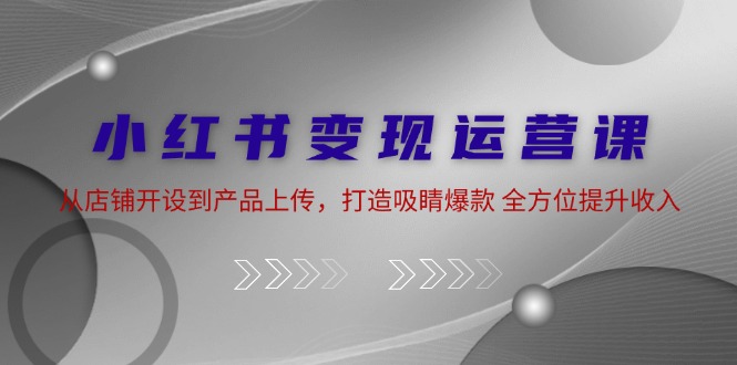 小红书变现运营课：从店铺开设到产品上传，打造吸睛爆款 全方位提升收入-鼎誉项目网