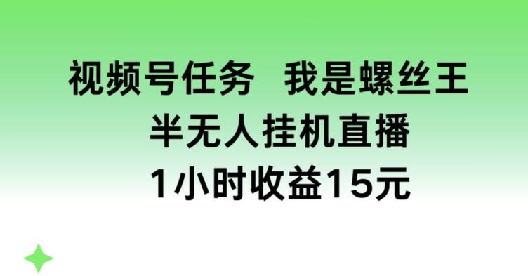 视频号任务，我是螺丝王， 半无人挂机1小时收益15元【揭秘】-鼎誉项目网