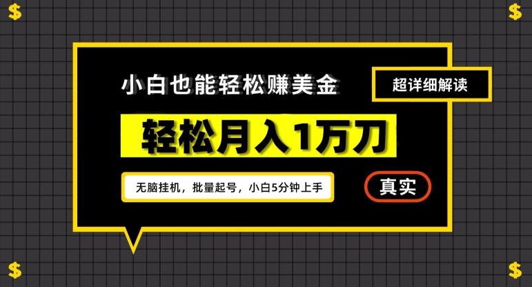 谷歌看广告撸美金2.0，无脑挂机，多号操作，月入1万刀【揭秘】-鼎誉项目网