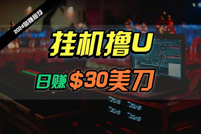 (10013期)日赚30美刀，2024最新海外挂机撸U内部项目，全程无人值守，可批量放大-鼎誉项目网