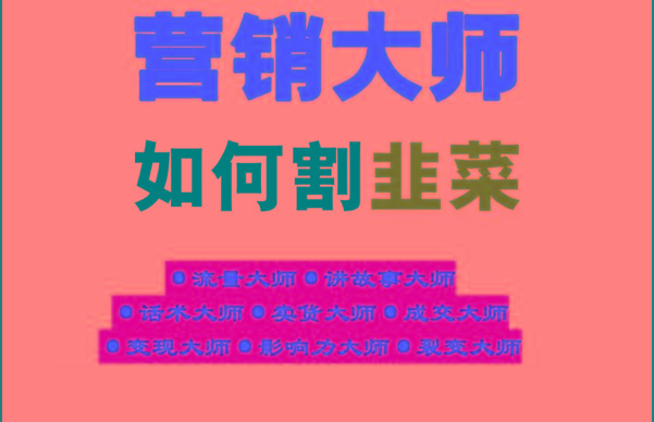 《营销大师如何割韭菜》禁止外传的大师绝学电子书-鼎誉项目网