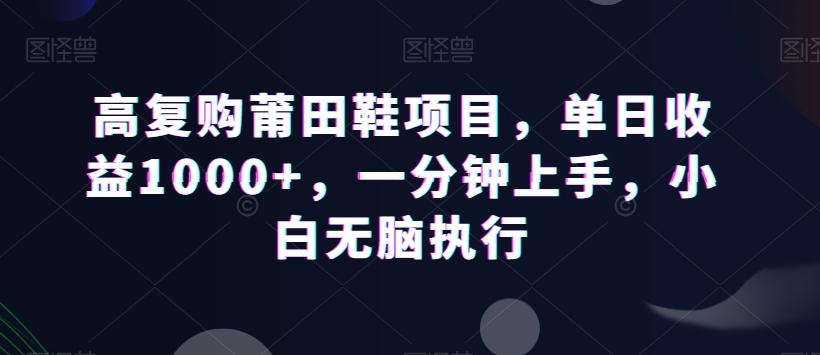 高复购莆田鞋项目，单日收益1000+，一分钟上手，小白无脑执行-鼎誉项目网