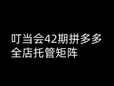 叮当会拼多多打爆班原创高阶技术第42期，拼多多全店托管矩阵-鼎誉项目网