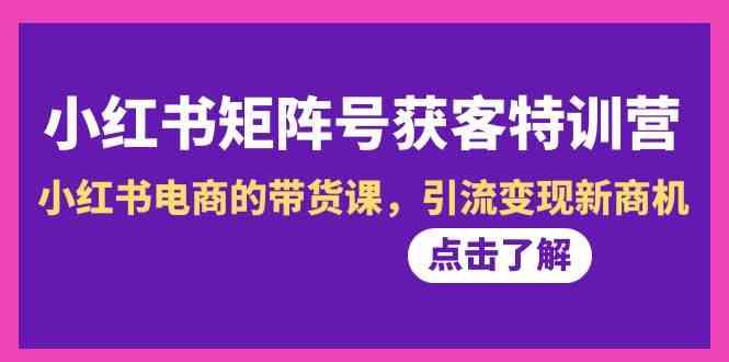小红书矩阵号获客特训营-第10期，小红书电商的带货课，引流变现新商机-鼎誉项目网