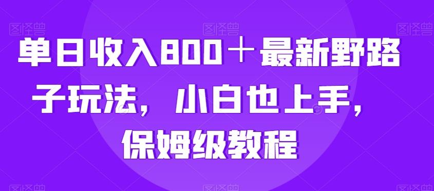 单日收入800＋最新野路子玩法，小白也上手，保姆级教程-鼎誉项目网