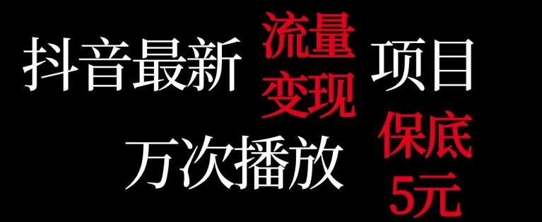 抖音流量变现，万次播放保底5元，额外收入-鼎誉项目网