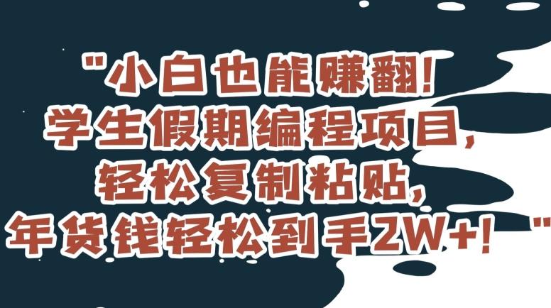小白也能赚翻！学生假期编程项目，轻松复制粘贴，年货钱轻松到手2W+【揭秘】-鼎誉项目网