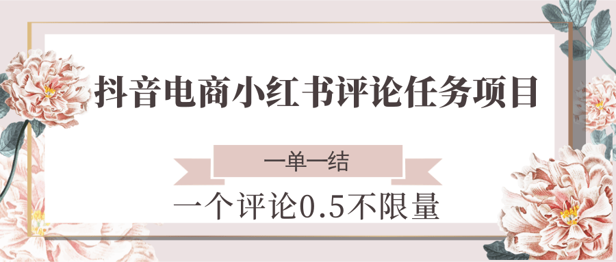 抖音电商小红书评论任务项目,一个评论0.5,一单一结 不限量-鼎誉项目网