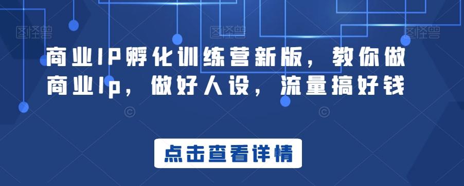 商业IP孵化训练营新版，教你做商业Ip，做好人设，流量搞好钱-鼎誉项目网