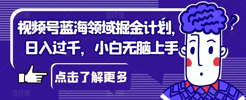 视频号蓝海领域掘金计划，日入过千，小白无脑上手【揭秘】-鼎誉项目网