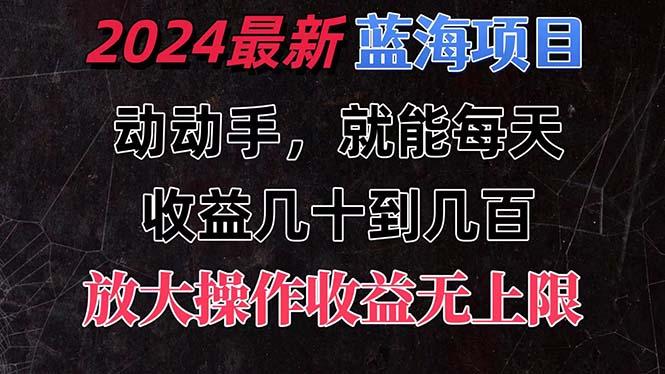 有手就行的2024全新蓝海项目，每天1小时收益几十到几百，可放大操作收…-鼎誉项目网
